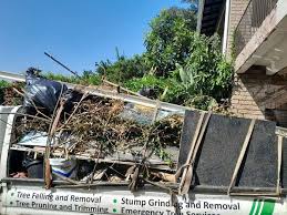 Best Shed Removal  in Mound Bayou, MS
